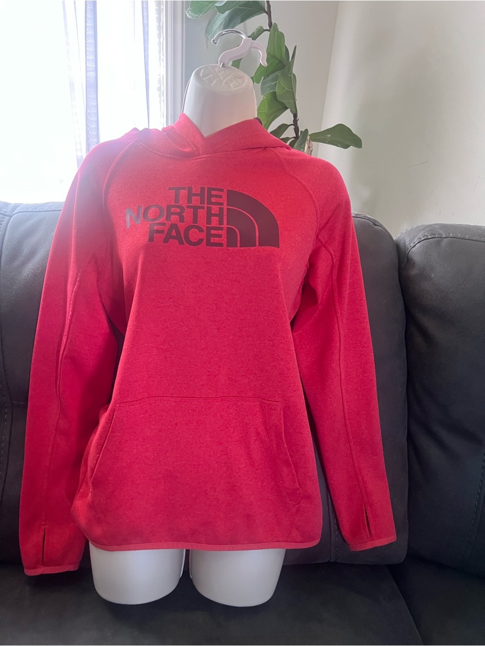 The North Face Women's Red Logo Hooded Pullover